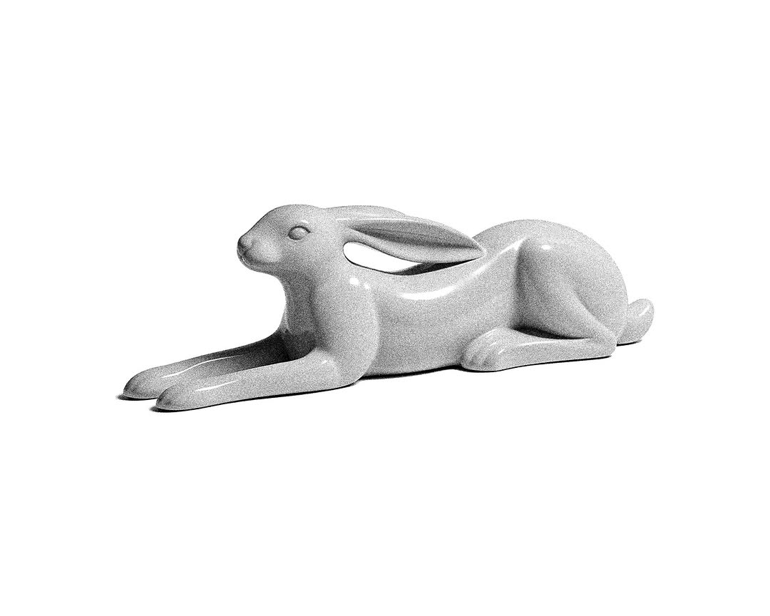 Animal, 토끼