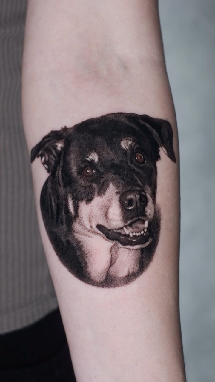 Animal