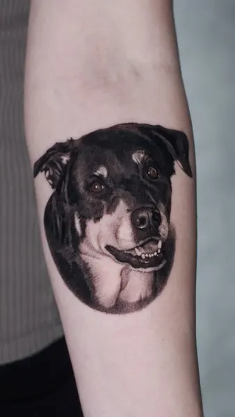 Animal