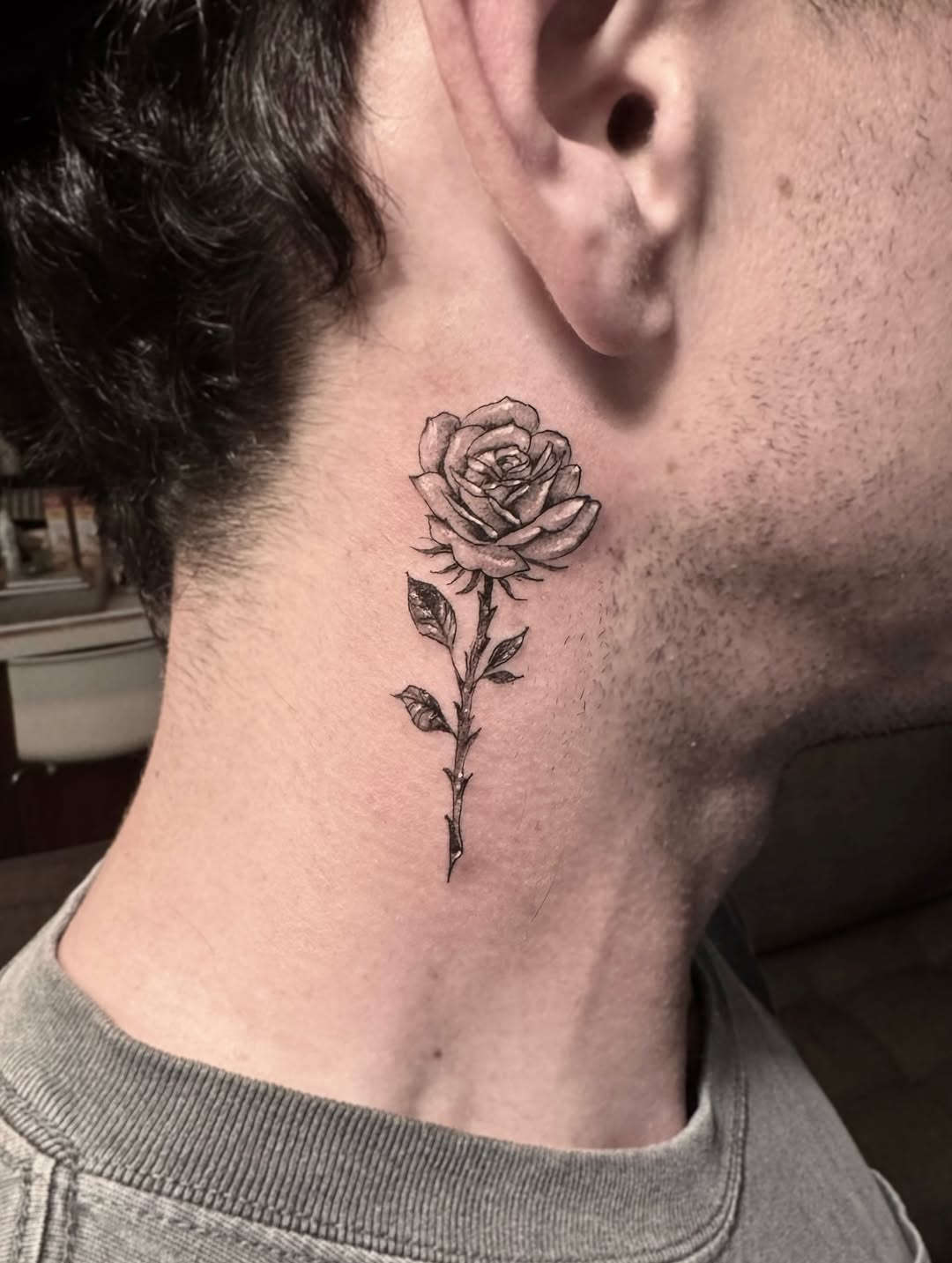 Flower, Rose