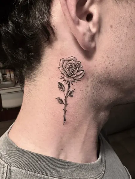 Flower, Rose