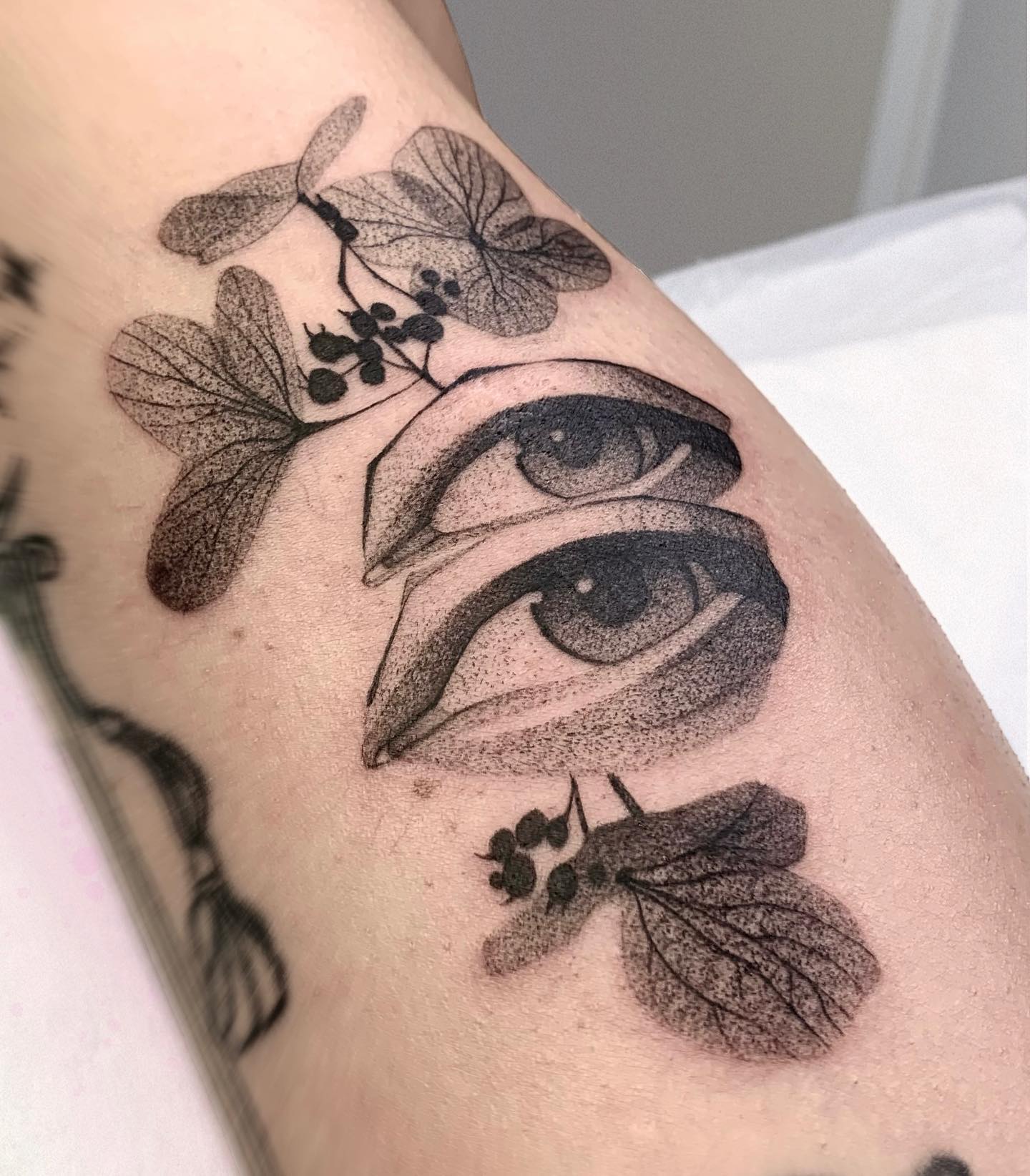 makar.tatt