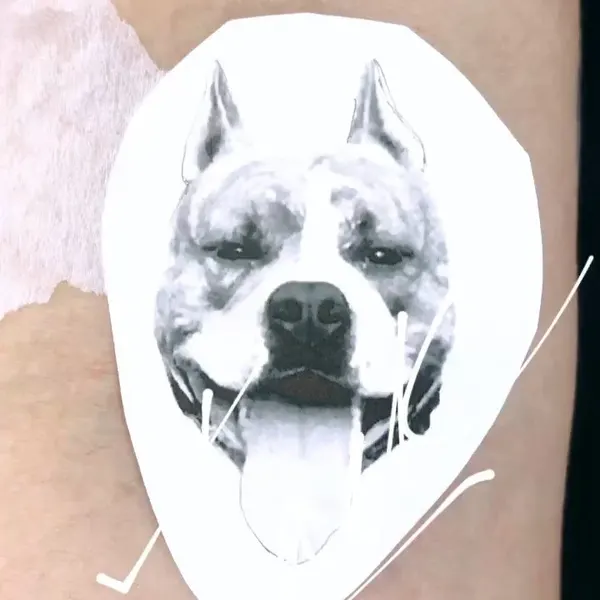 Circa Tattoo