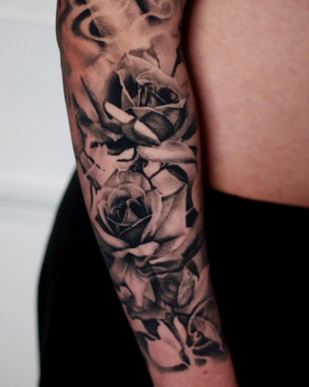Flower, Rose, Nature