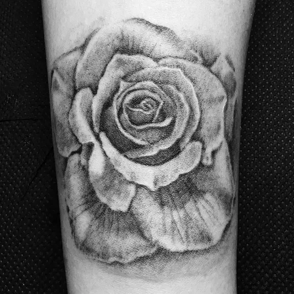 Flower, Rose