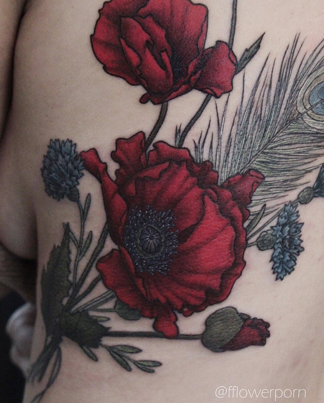 Flower, Rose, 양귀비