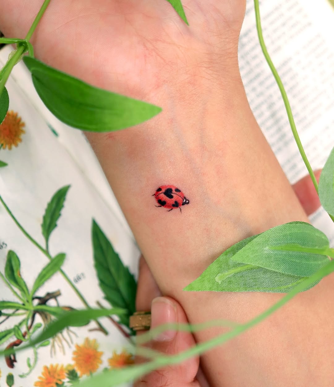 Rose, Flower