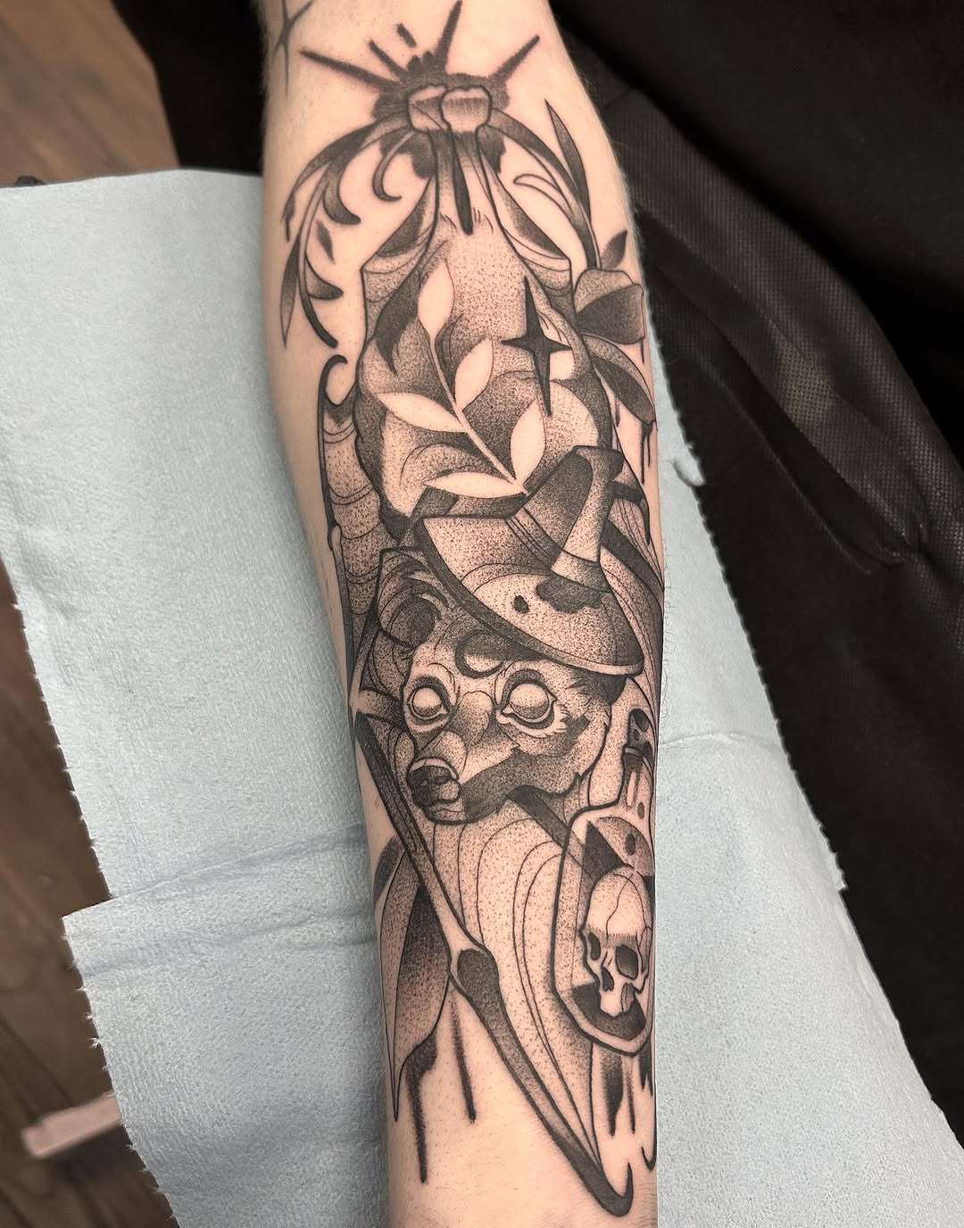 sarastigmata