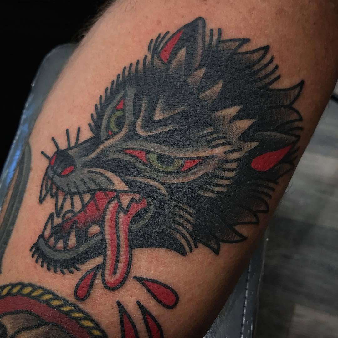 Tiger, Animal