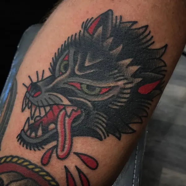 Tiger, Animal