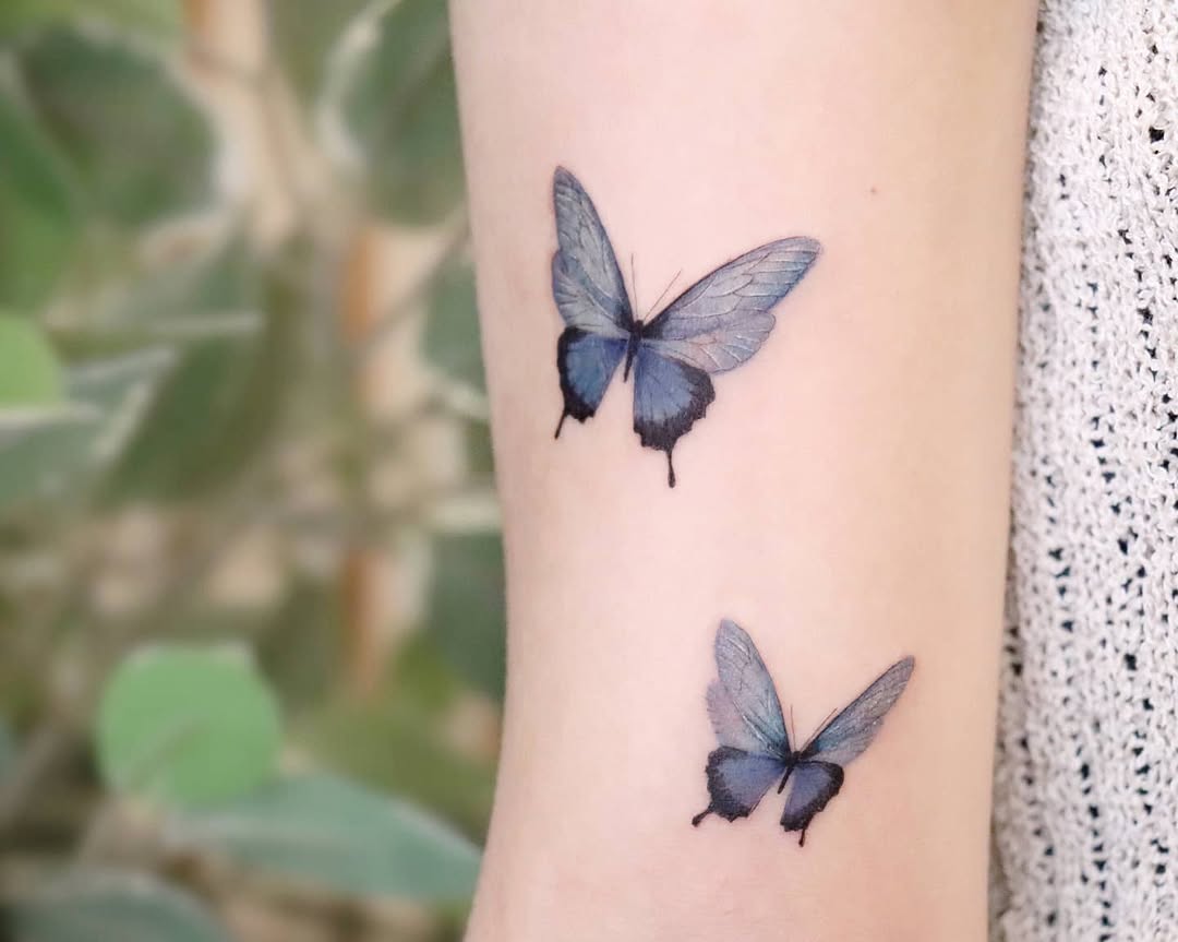 Nature, Animal