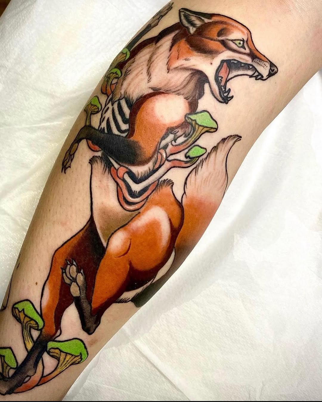 Animal