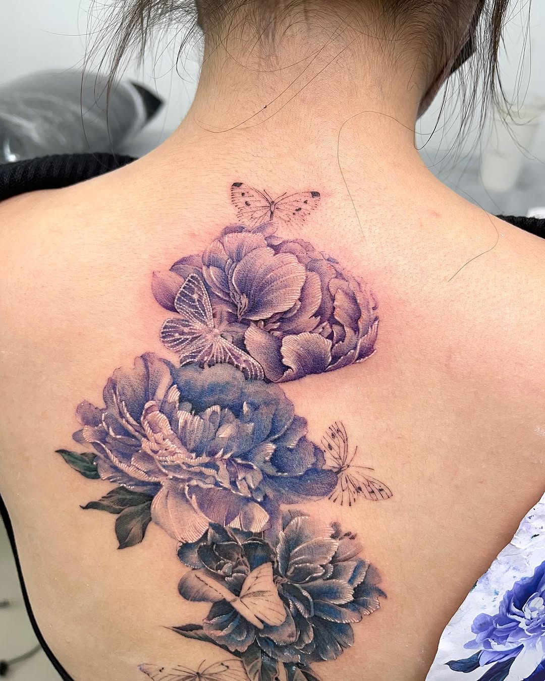 Flower, Nature, Rose