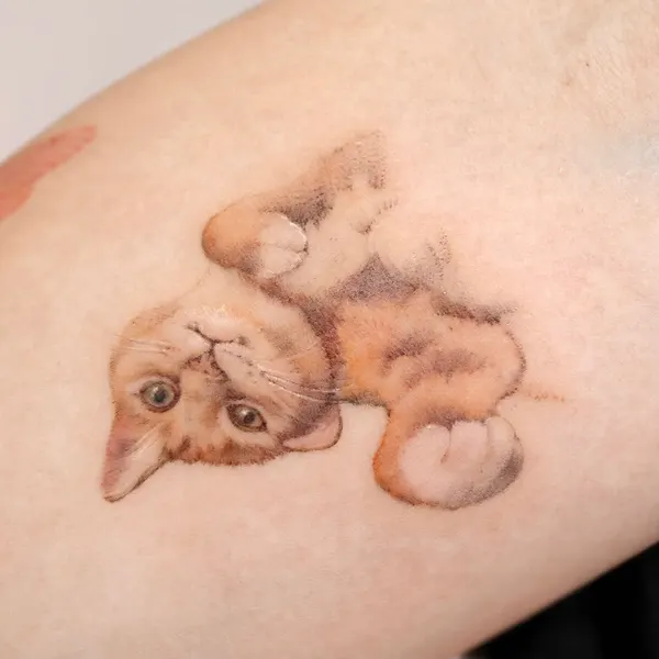 고양이