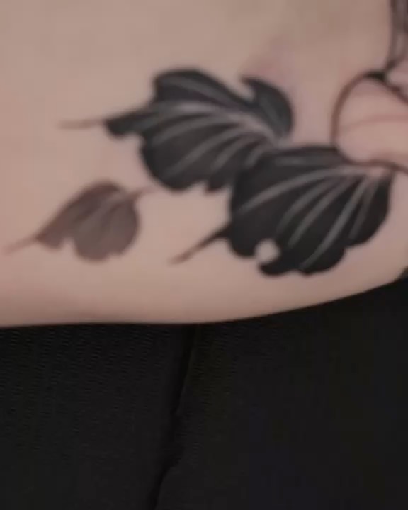 Animal, Nature, Flower
