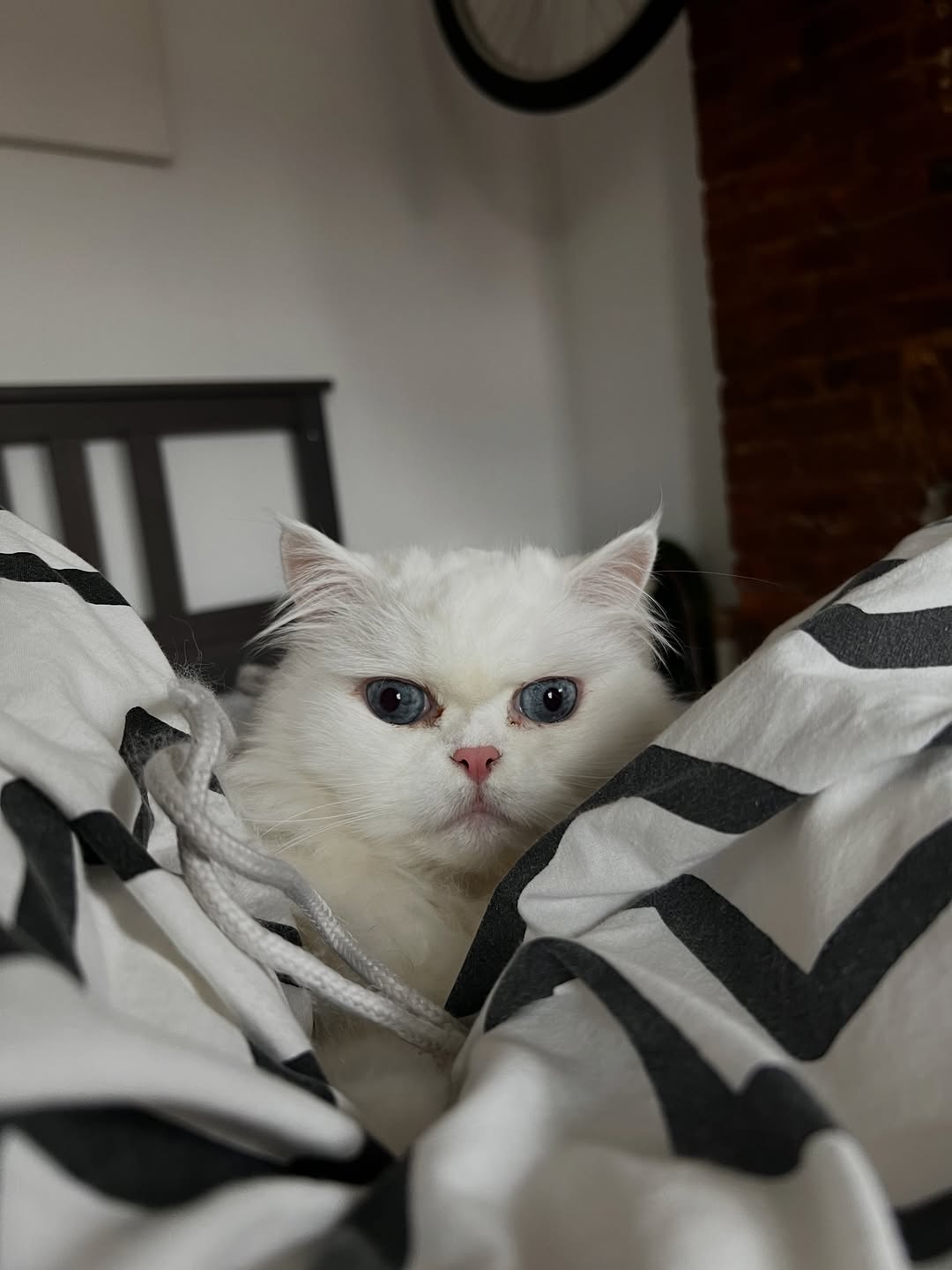 barisyesilbas