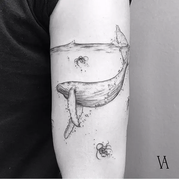 equilattera