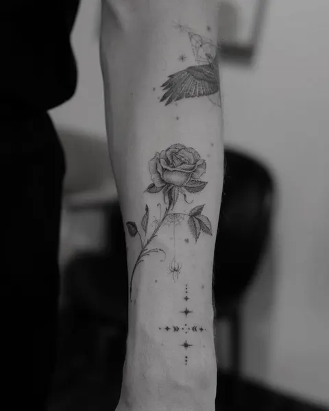 Flower, Rose