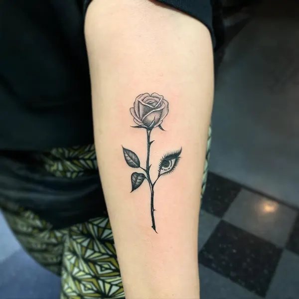 Flower, Rose, Nature