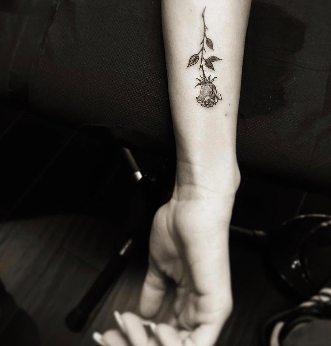Flower, Rose