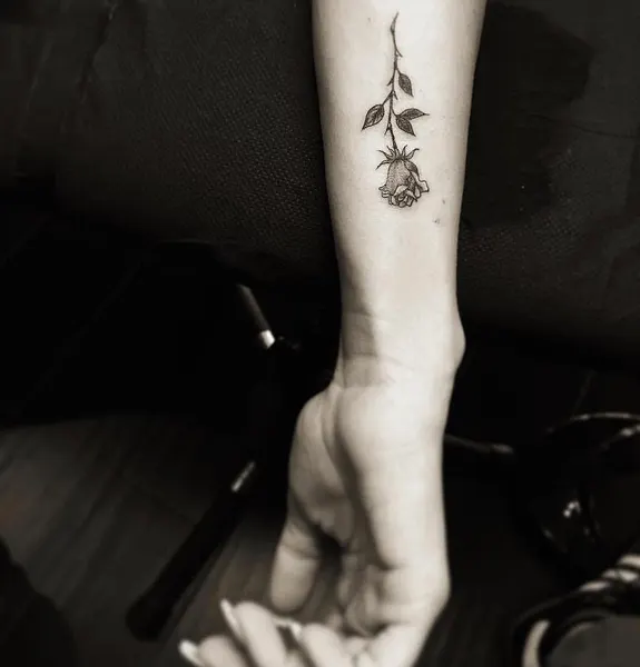 Flower, Rose