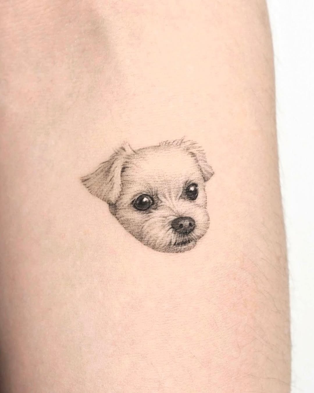 dorok.tattoo