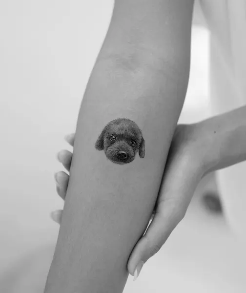 paw.tattoo