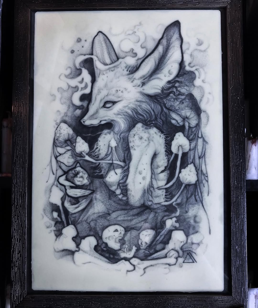 Animal, 다람쥐