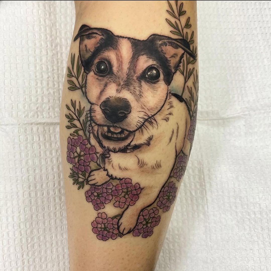 Animal