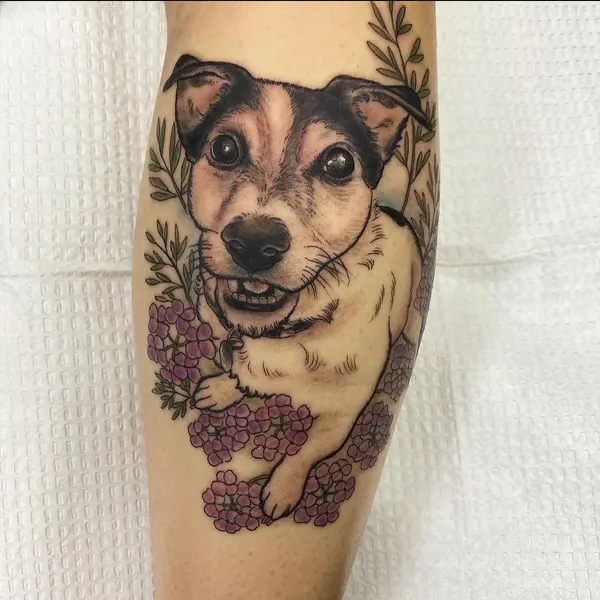 Animal