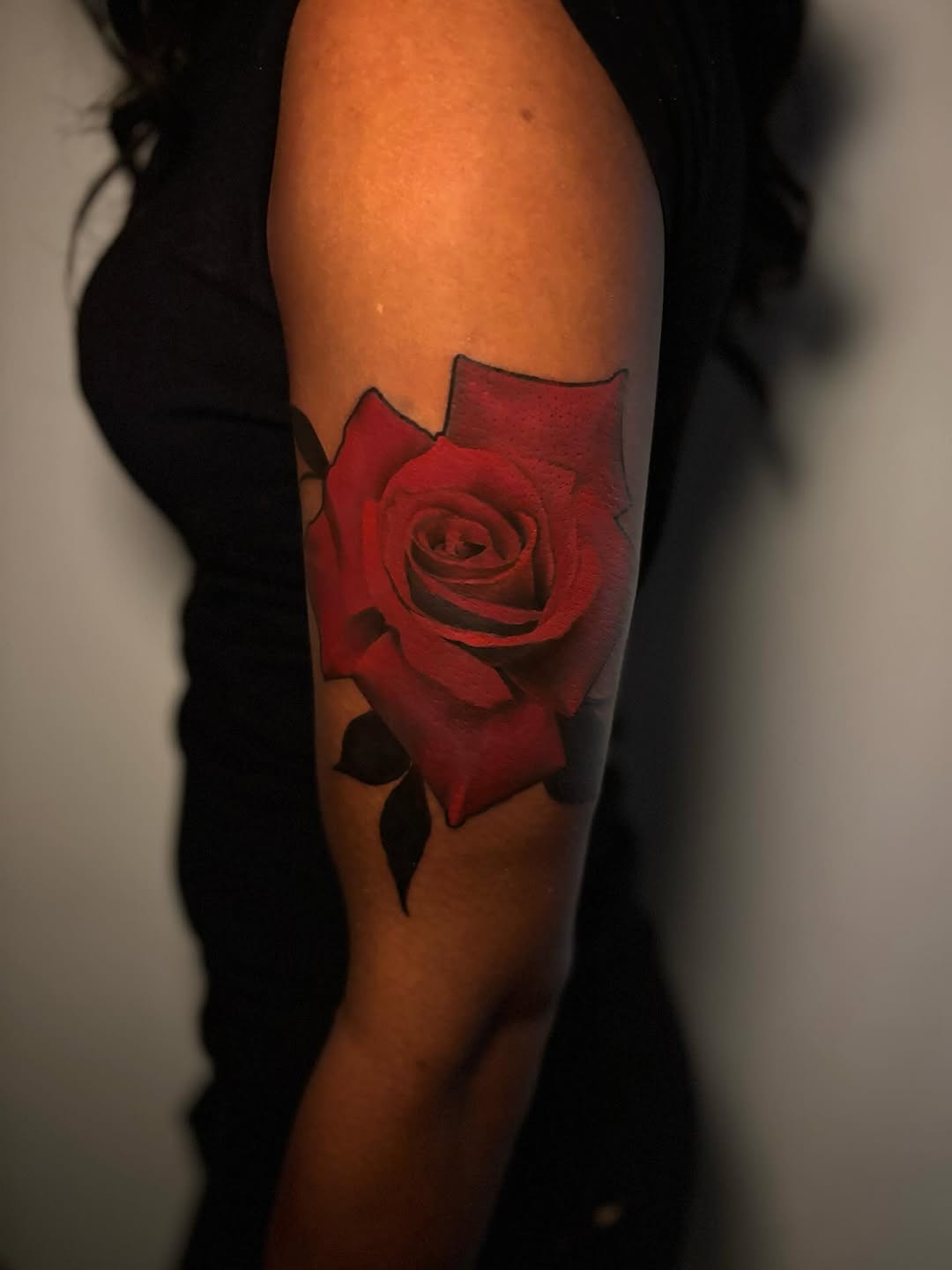 Flower, Rose, Nature