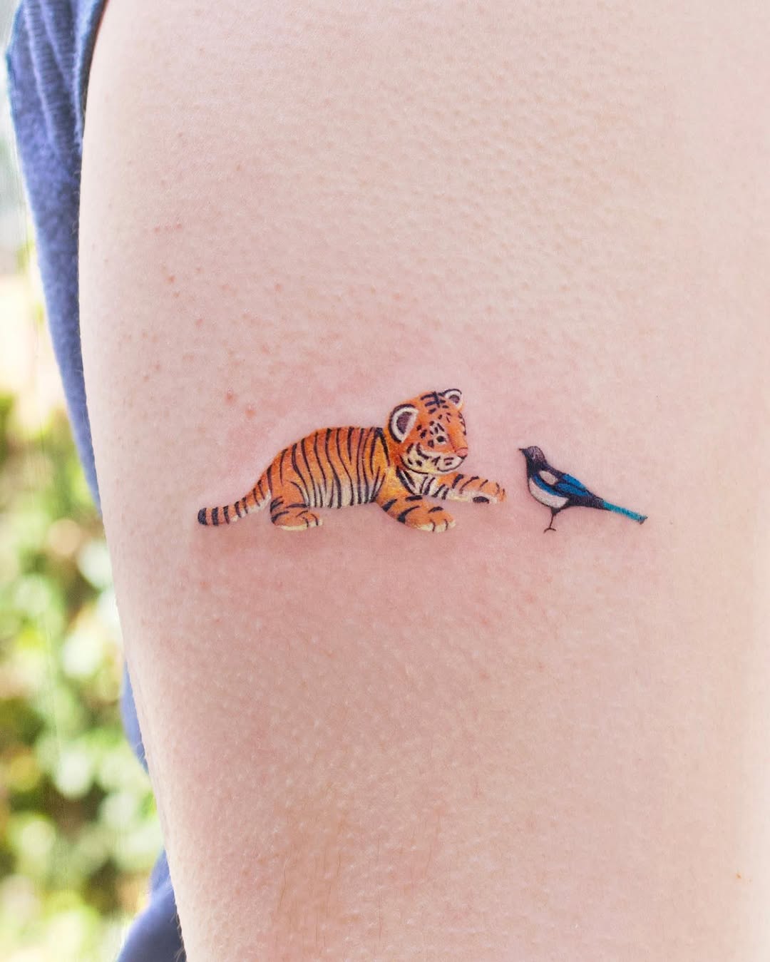 Tiger