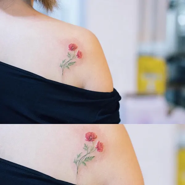 Flower, Rose