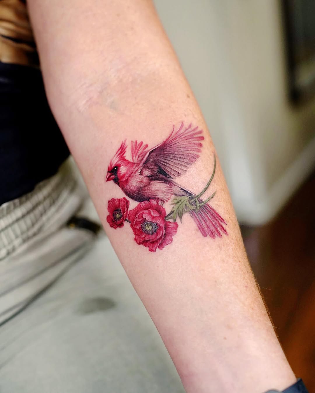 Animal, Flower, Nature