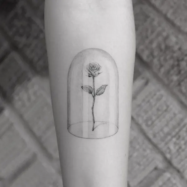 Flower, Rose