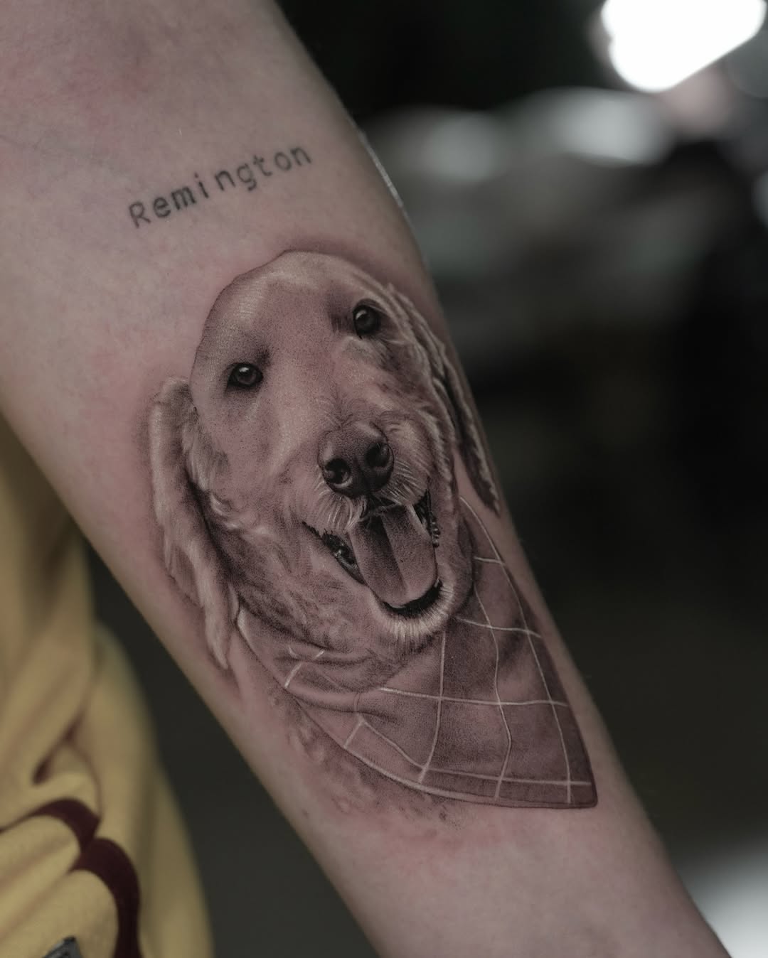 Animal