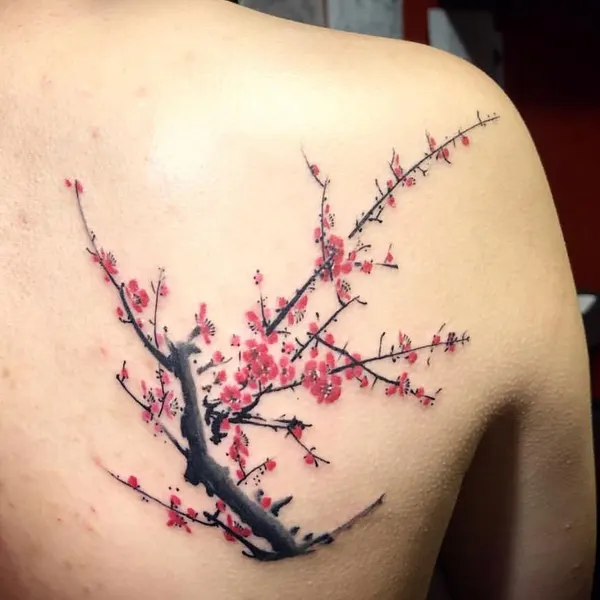 Flower, Nature, 벚꽃, 매화, 일본, 사쿠라, 일본 단풍