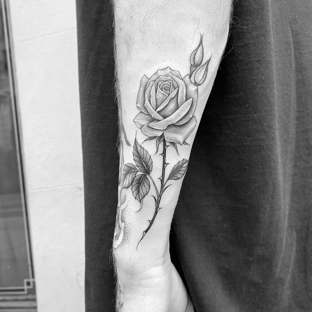 Flower, Rose