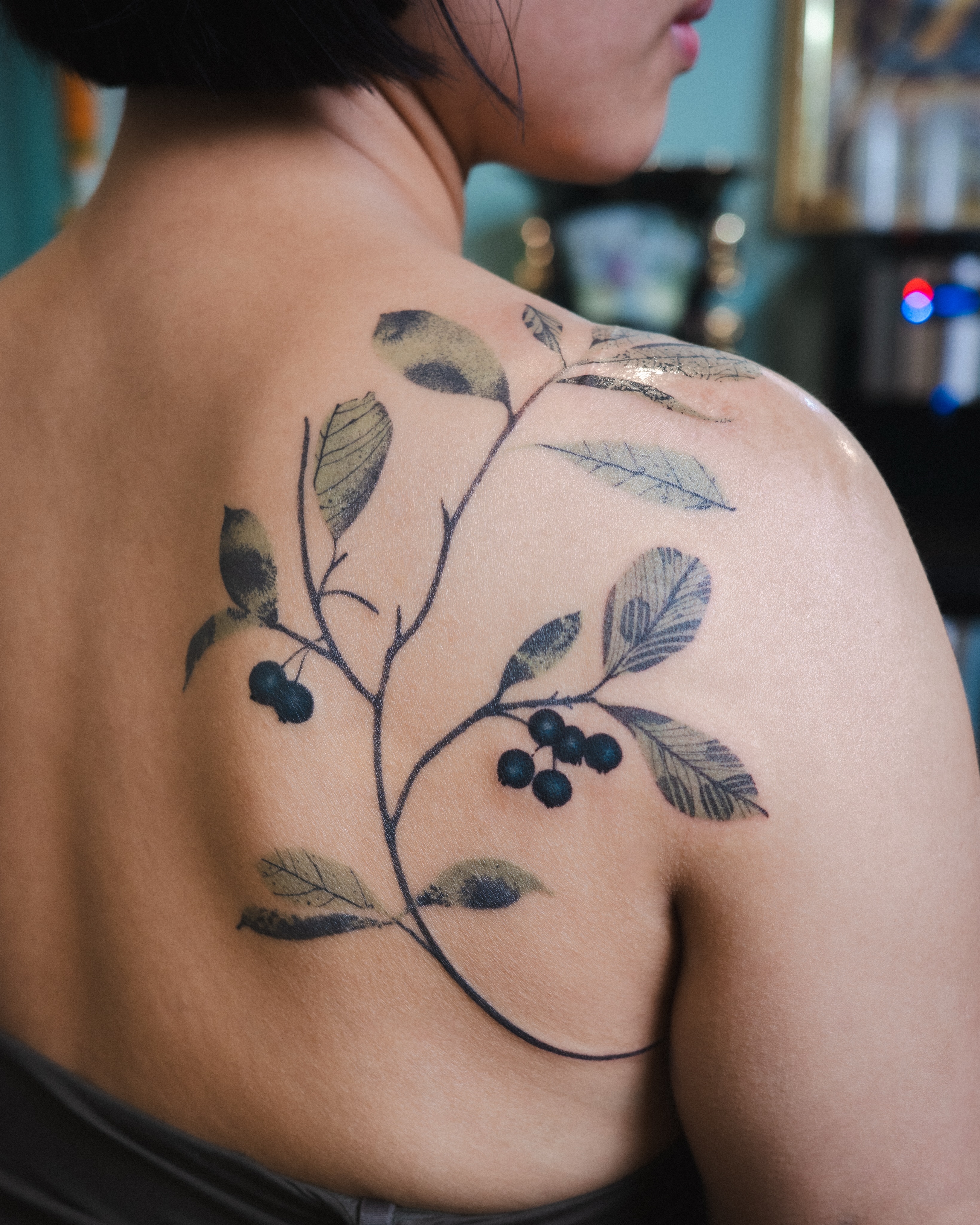 Flower, Nature, Rose