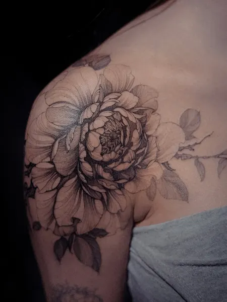 Flower, Rose, Nature