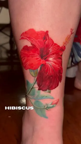 Flower, Nature