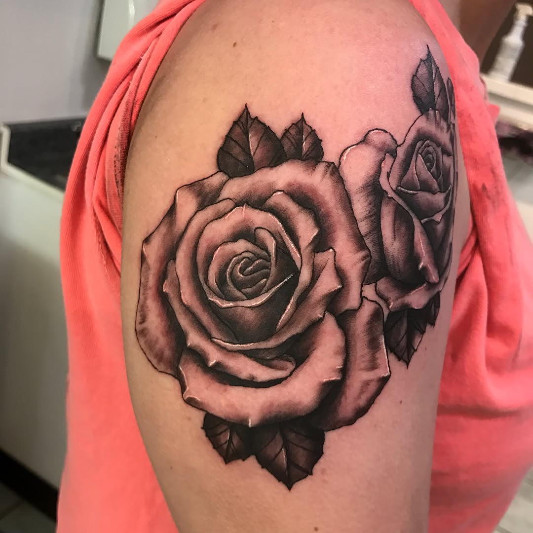 Flower, Rose, Nature