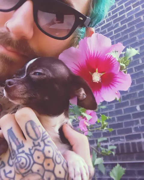 Sloo Tattoos