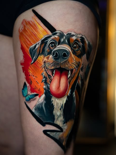 Animal