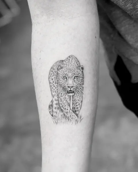 Animal, Tiger