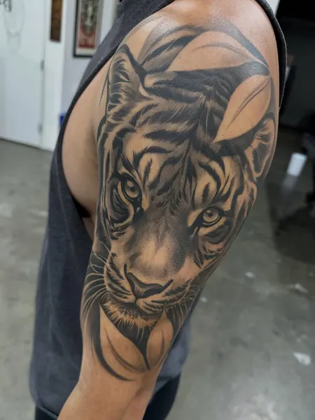 Tiger