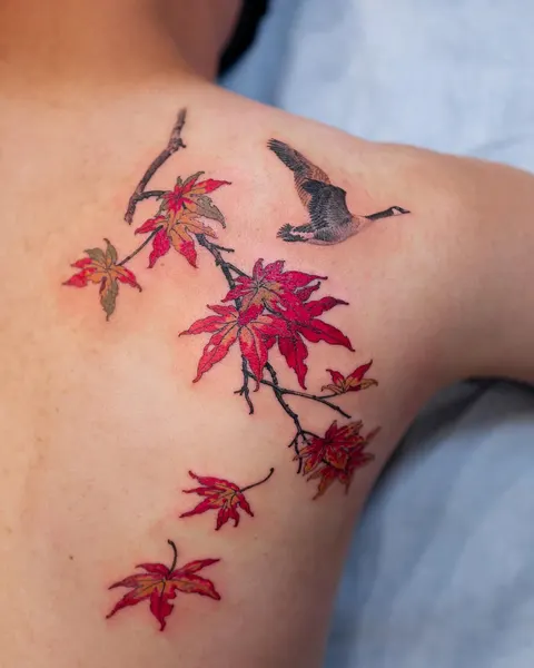 Flower, 일본 단풍, Nature