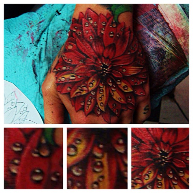 Flower, Rose