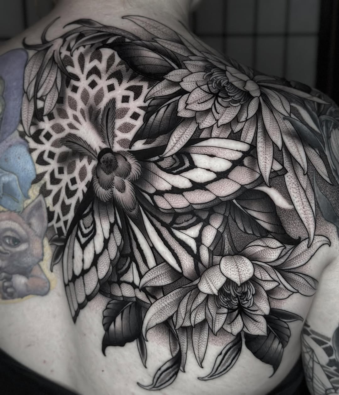 Flower, Nature, Animal