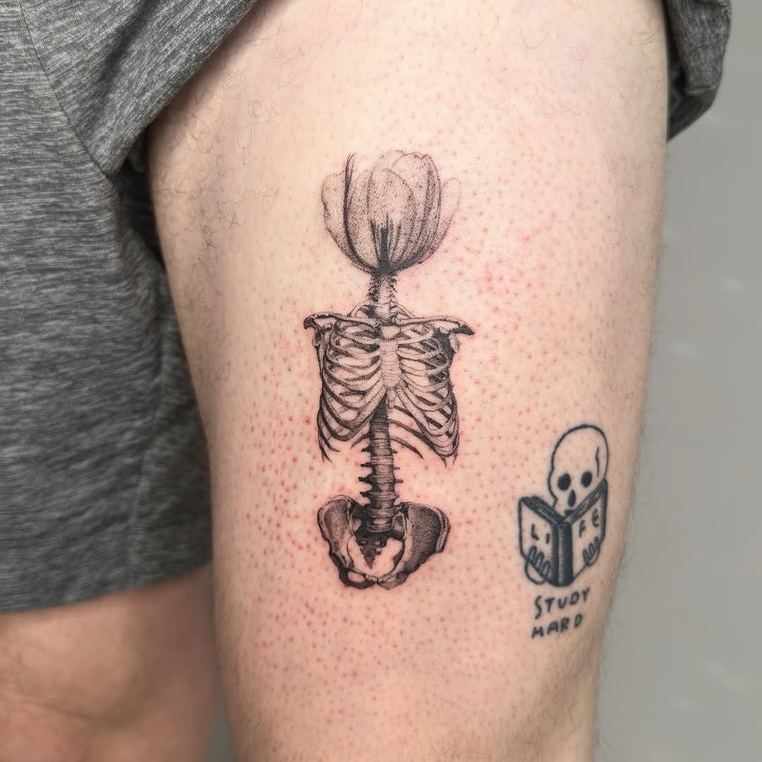 plantsnpokes